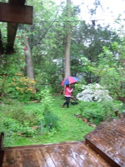 Mary Ann, walking in the rain